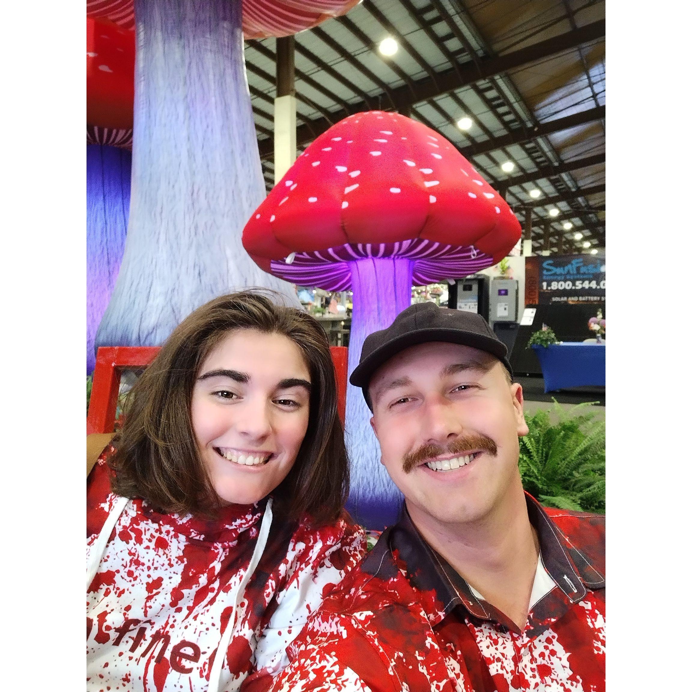 The San Diego County Fair