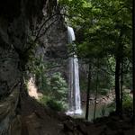 Ozone Falls State Natural Area