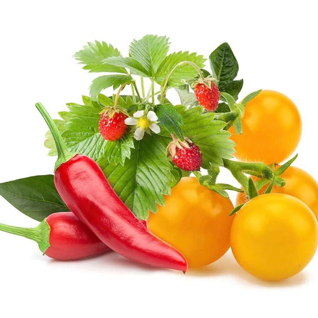 Click and Grow Smart Fruit and Veggie Plant Pod Mix, 9-Pack