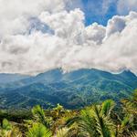 El Yunque National Forest