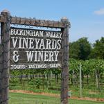 Buckingham Valley Vineyards