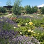 Santa Fe Botanical Garden