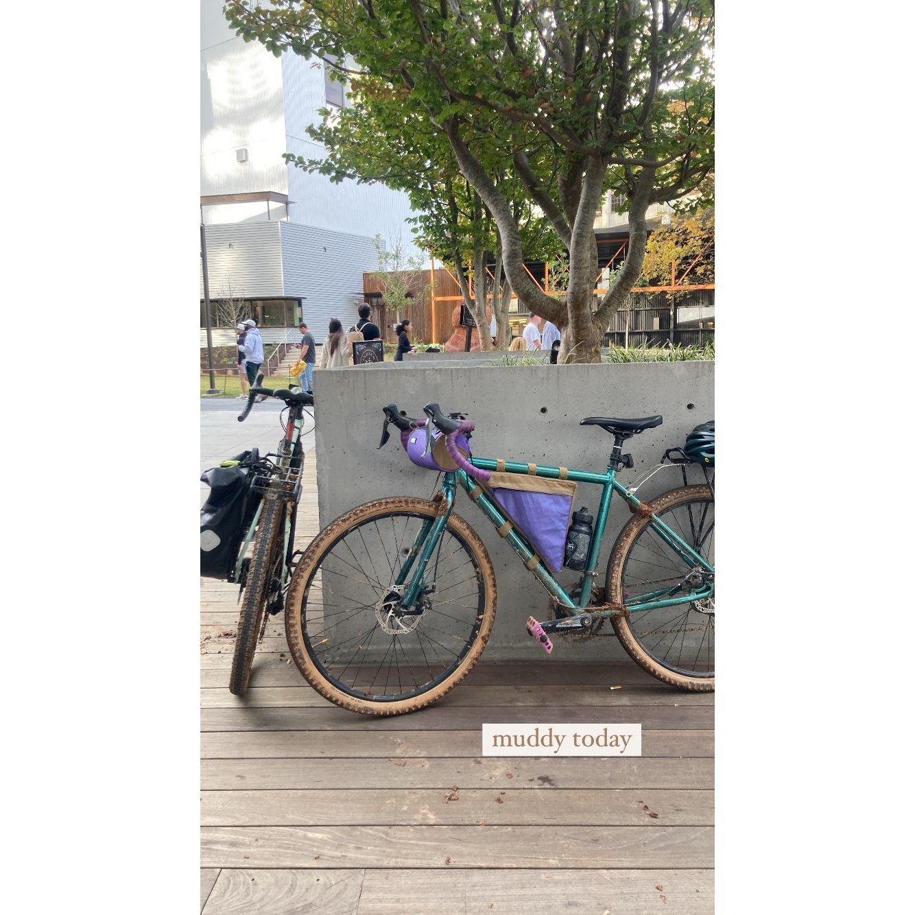 bikes