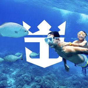 Honeymoon Fund - 7 Night Western Caribbean Cruise