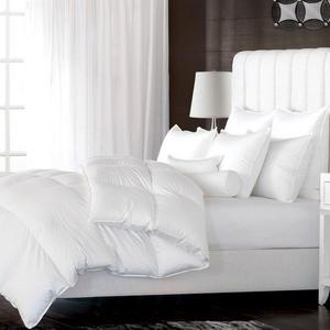 All Season Down Duvet Insert