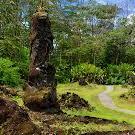 Lava Tree State Monument