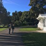 San Francisco Botanical Garden