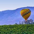 Wine Country
