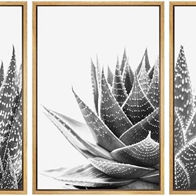 SIGNWIN Framed Wall Art Print Set Trio of Zebra Succulents Floral Plants Photography Modern Art Minimalist Closeup Dramatic Black and White for Living Room, Bedroom, Office - 16"x24"x3 Natural