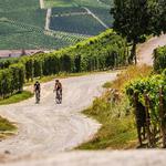 Temecula Wine Country E-Bikes