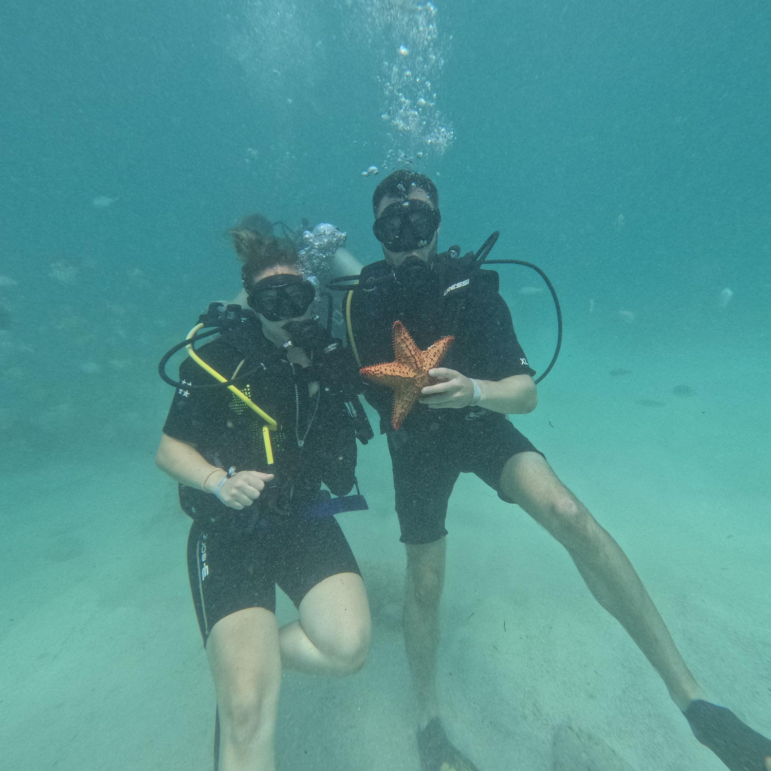 Scuba Diving!