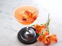 Claret Wine & Cocktail Bar