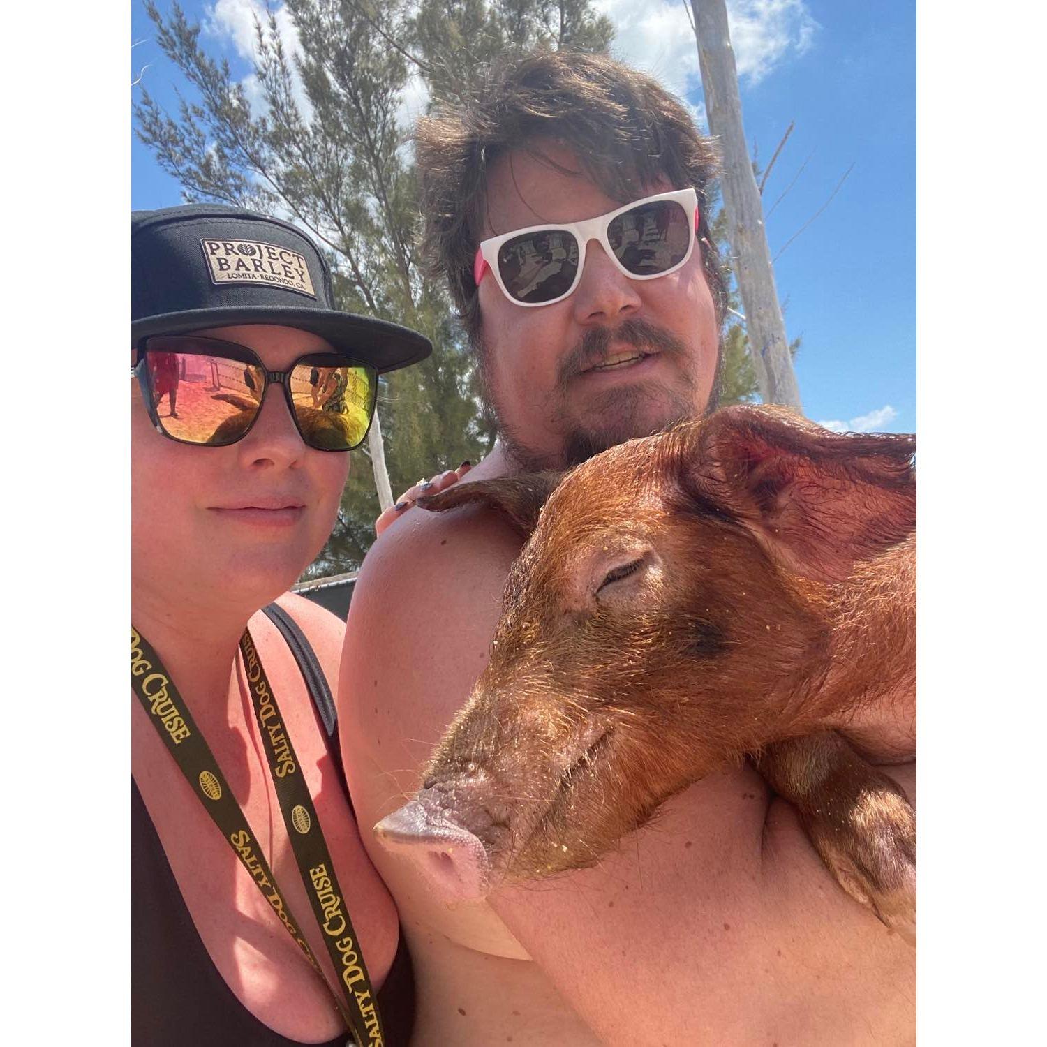 Swimming with pigs in the Bahamas