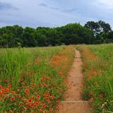 Heard Natural Science Museum & Wildlife Sanctuary