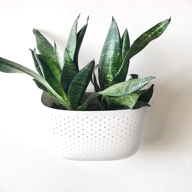 WallGro Eco Vertical Garden Wall Planter 4 Pack White