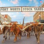 Fort Worth Stockyards Station