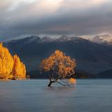 Lake Wānaka