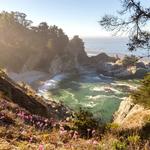 McWay Falls View Point and a road trip through Big Sur