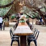 Bruma Wine Garden