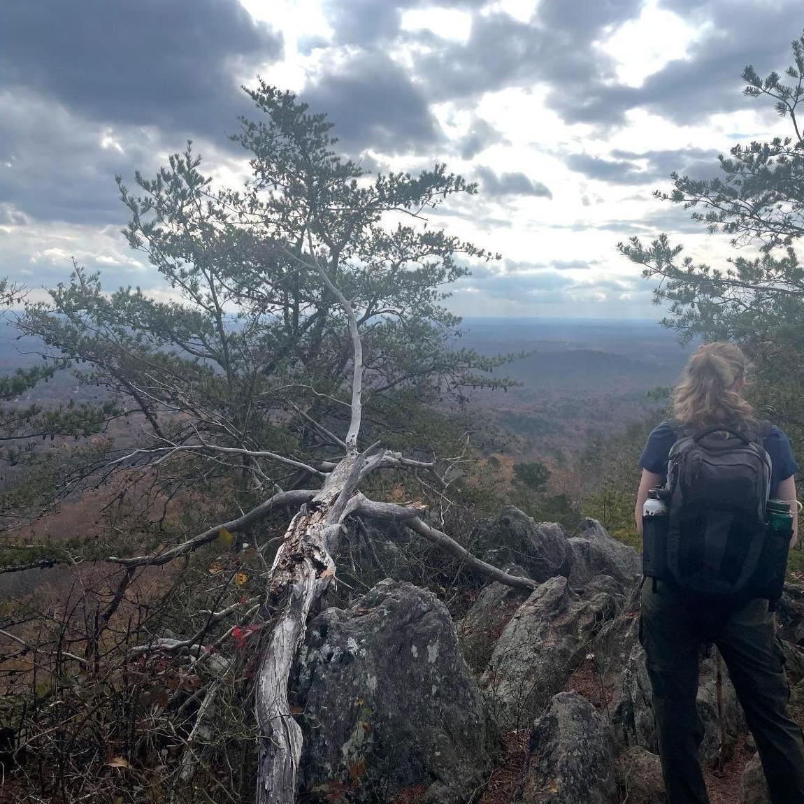 Crowders Mountain State Park, NC. Crowders Mountain Pinnacle