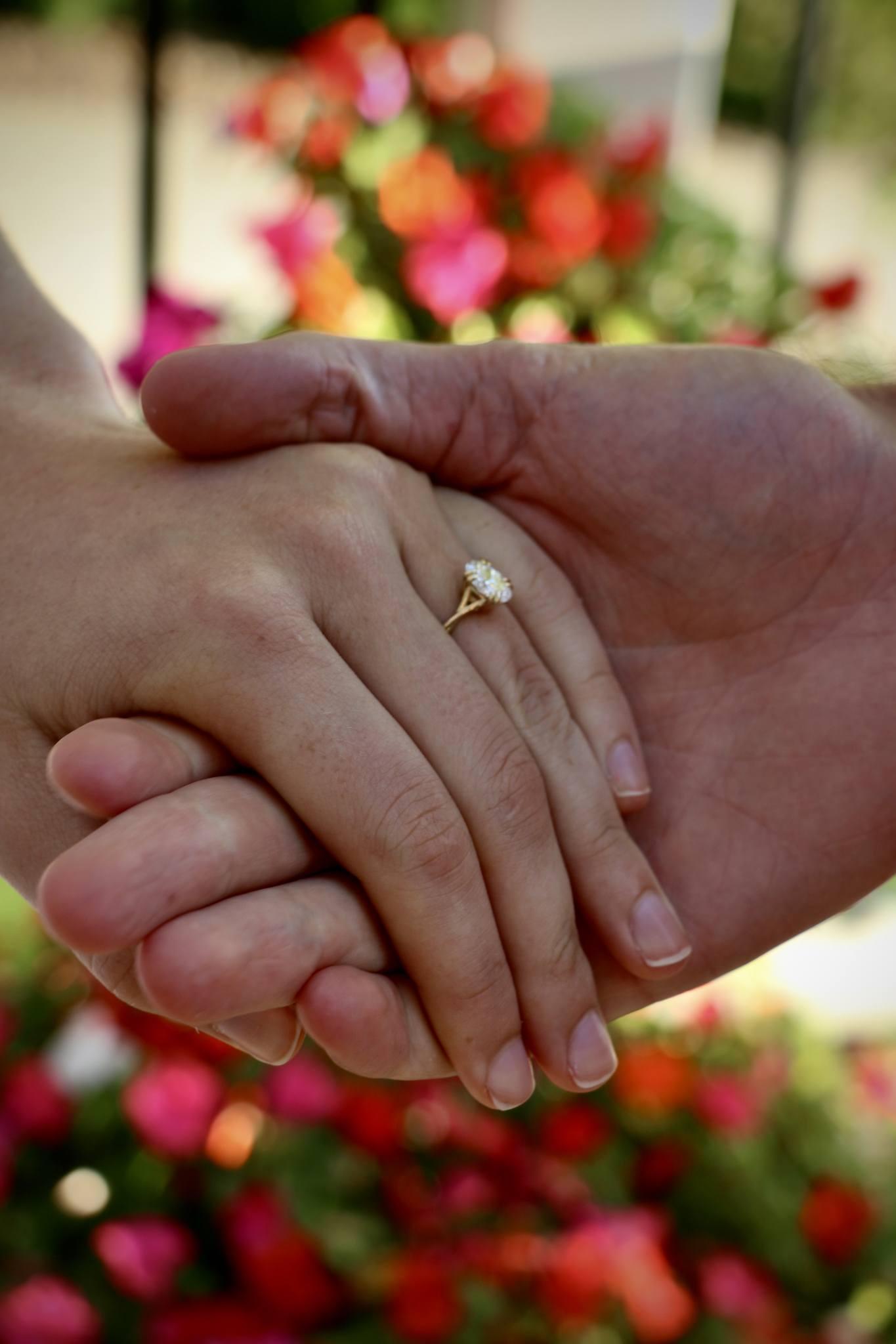 The Wedding Website of Molly Boyle and Joshua Veldheer