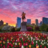 Public Garden