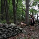 Shuman Point Natural Center