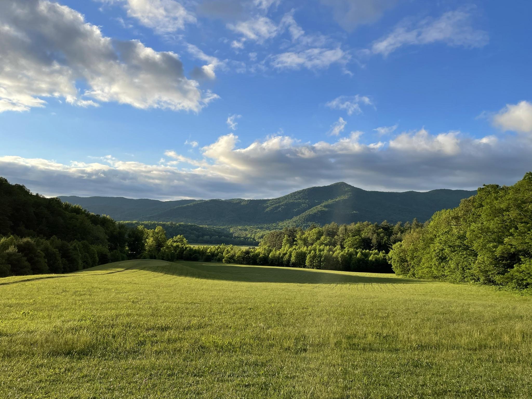 The Wedding Website of Morgan MeMe Cook and Ethan Walker