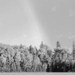 Kivi Park