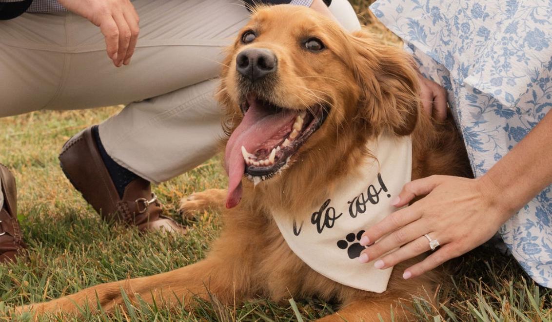 The Wedding Website of Lexie Doddridge and Reid Guzdanski