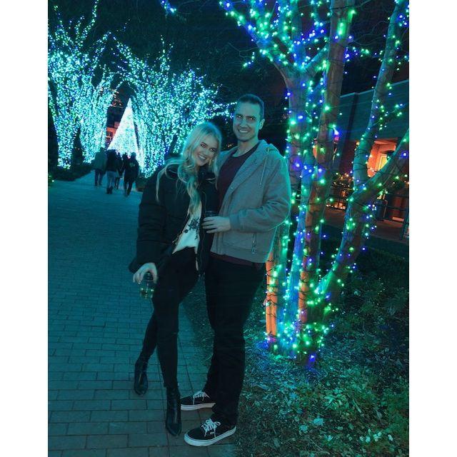 Christmas lights at the Atlanta Botanical Garden.