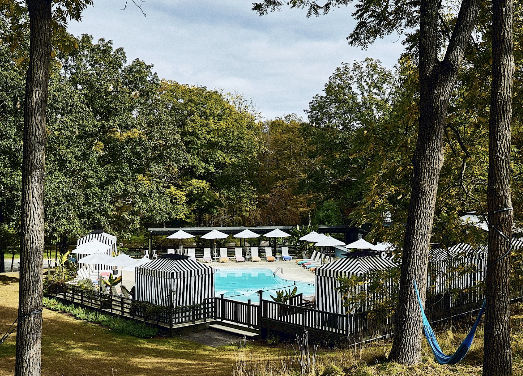 The Wedding Website of Arden Witheford and Robert Spielvogel