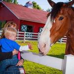 Grant's Farm