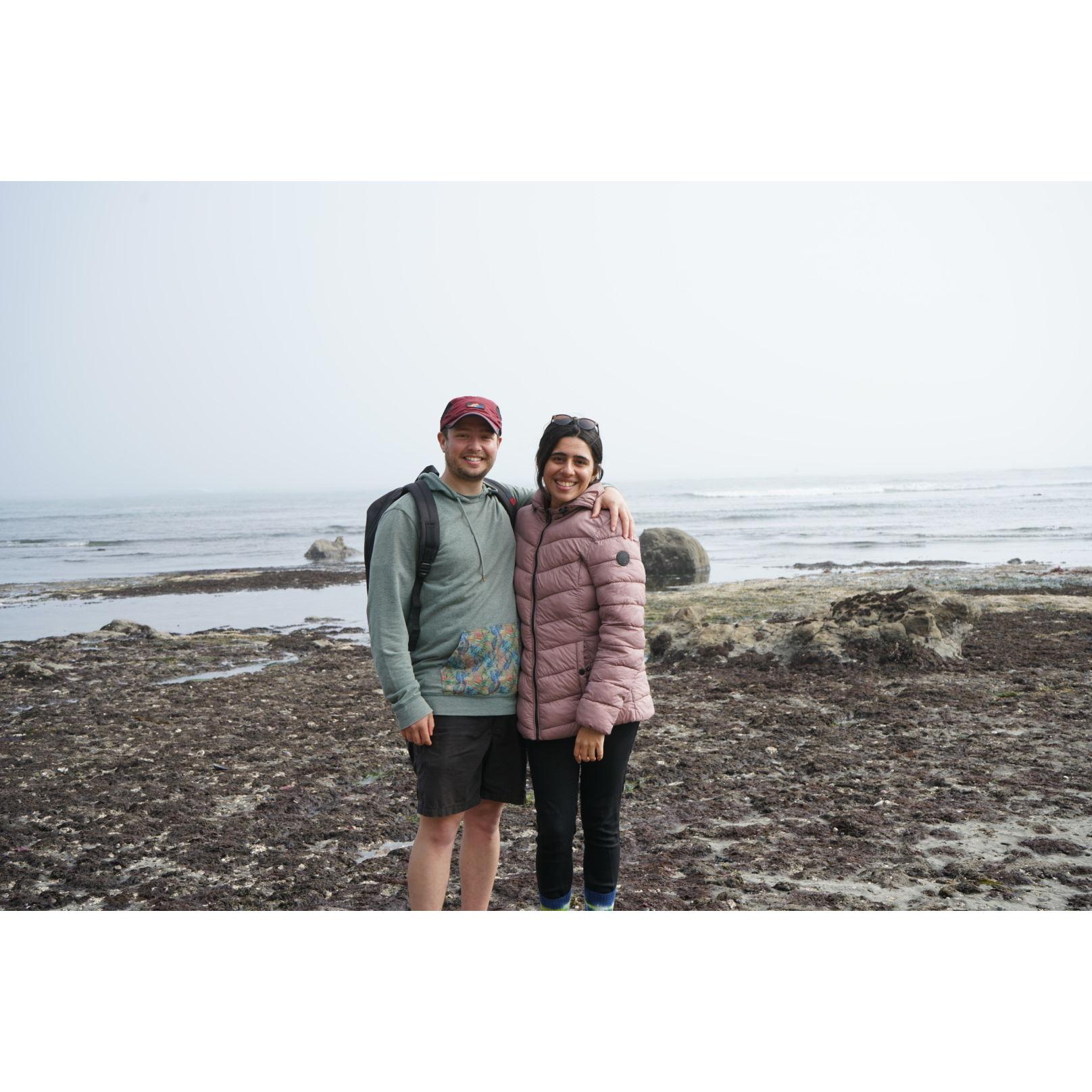 Weekend adventure at a beach south of SF to look for anemones and other sea creatures in the tide pools during low tide!