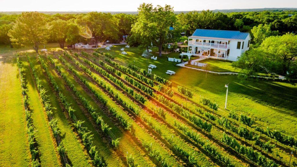The Wedding Website of Amanda Riordan and Stevie Balandran
