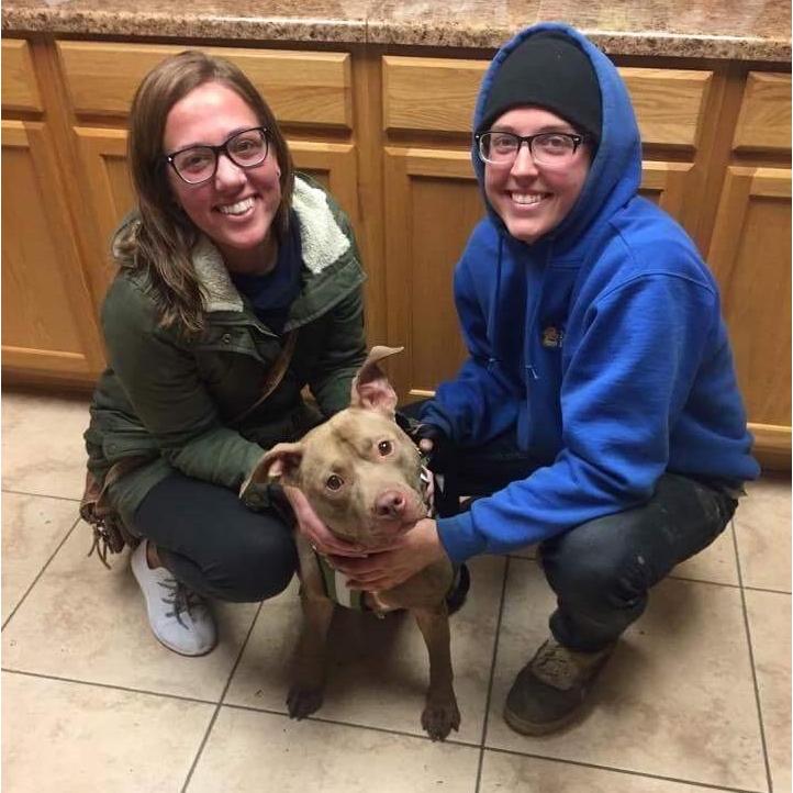 Adopted Tonka