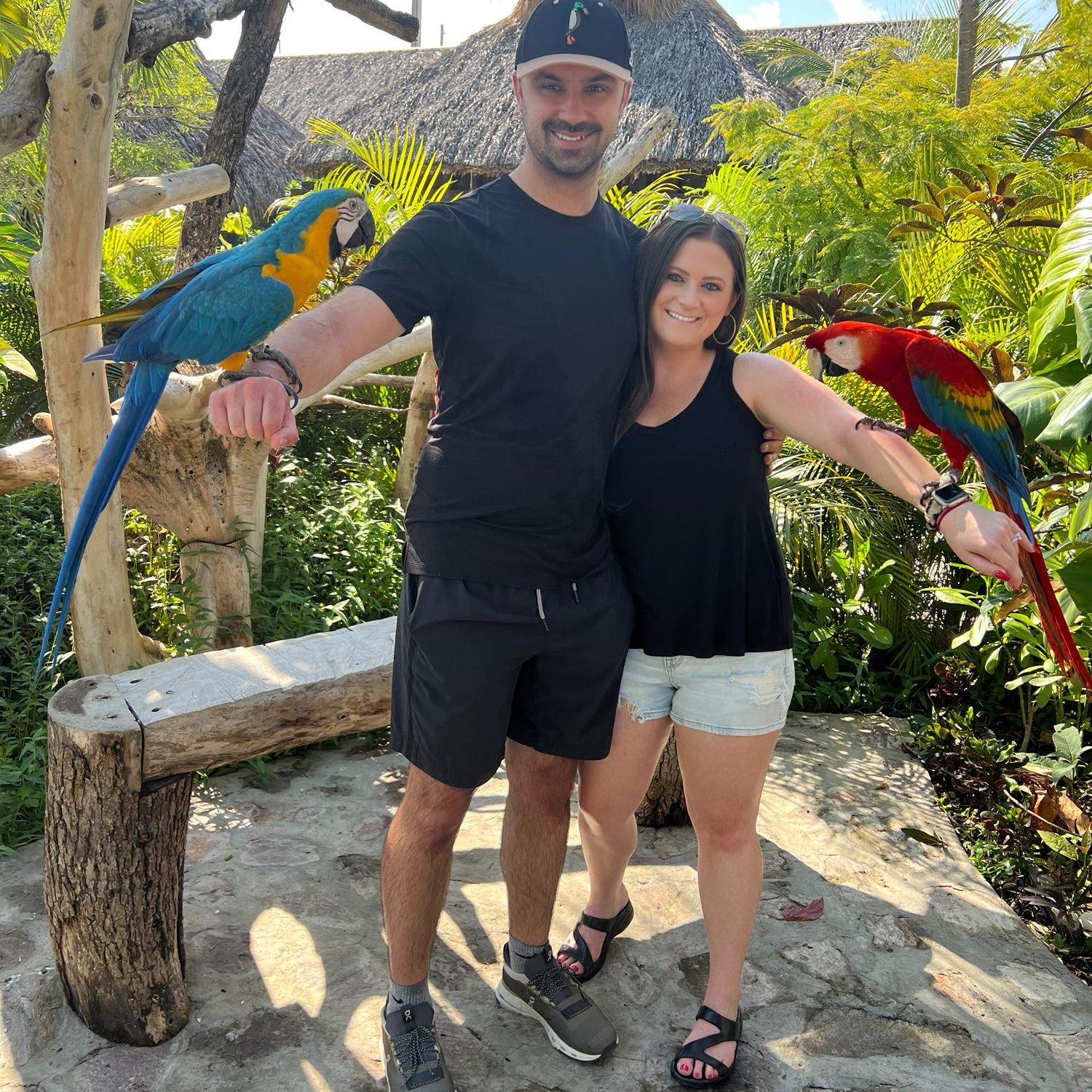 Parrot encounter in the DR