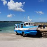 Kids - Tatihou Island and boat trip