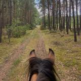 Porter Mountain Stables