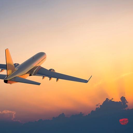 Plane Fare Fund