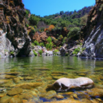 Arroyo Seco Campground