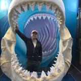 Newport aquarium