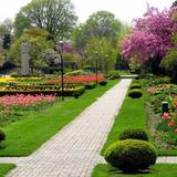 Jackson Park