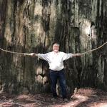 Muir Woods