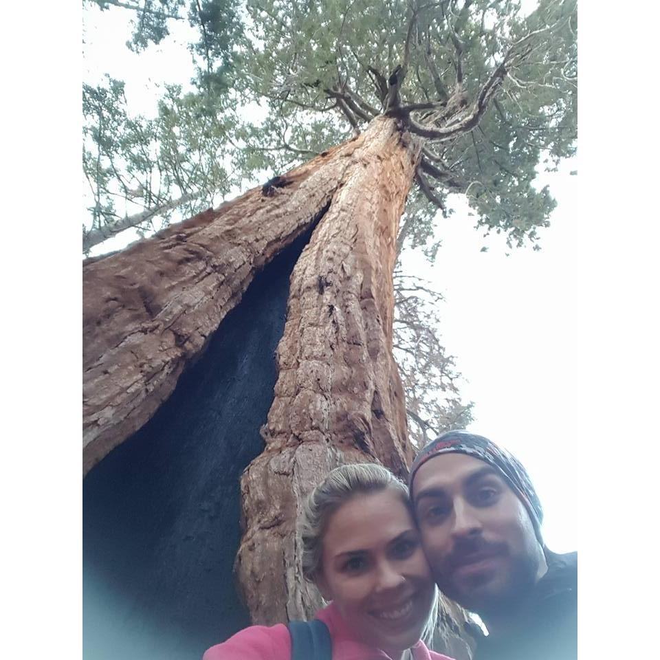 Sequoia National Forest, Fall 2017.