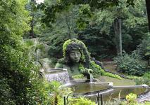 Atlanta Botanical Garden