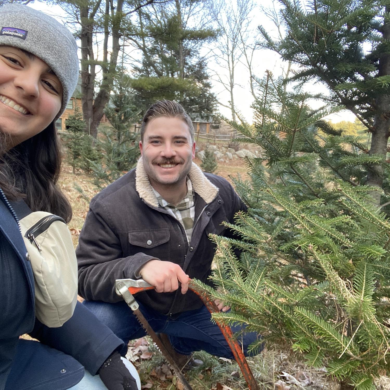 Our first live Christmas tree