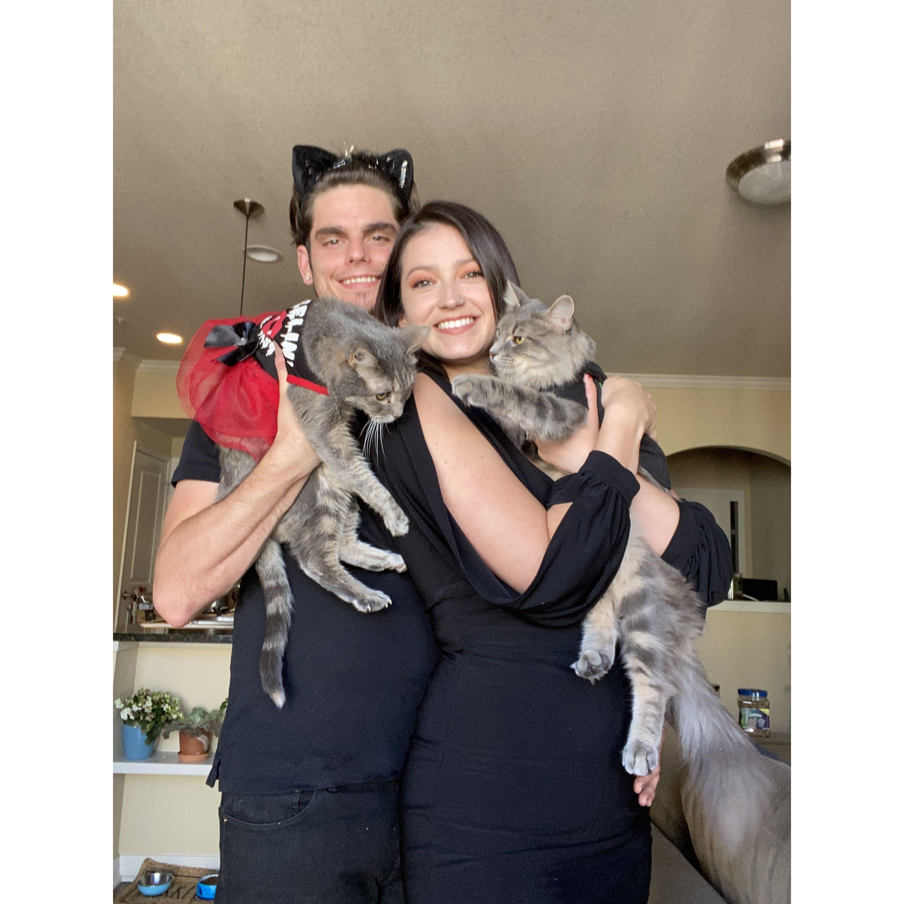 The couple grow their family! Mister is adopted in 2021.