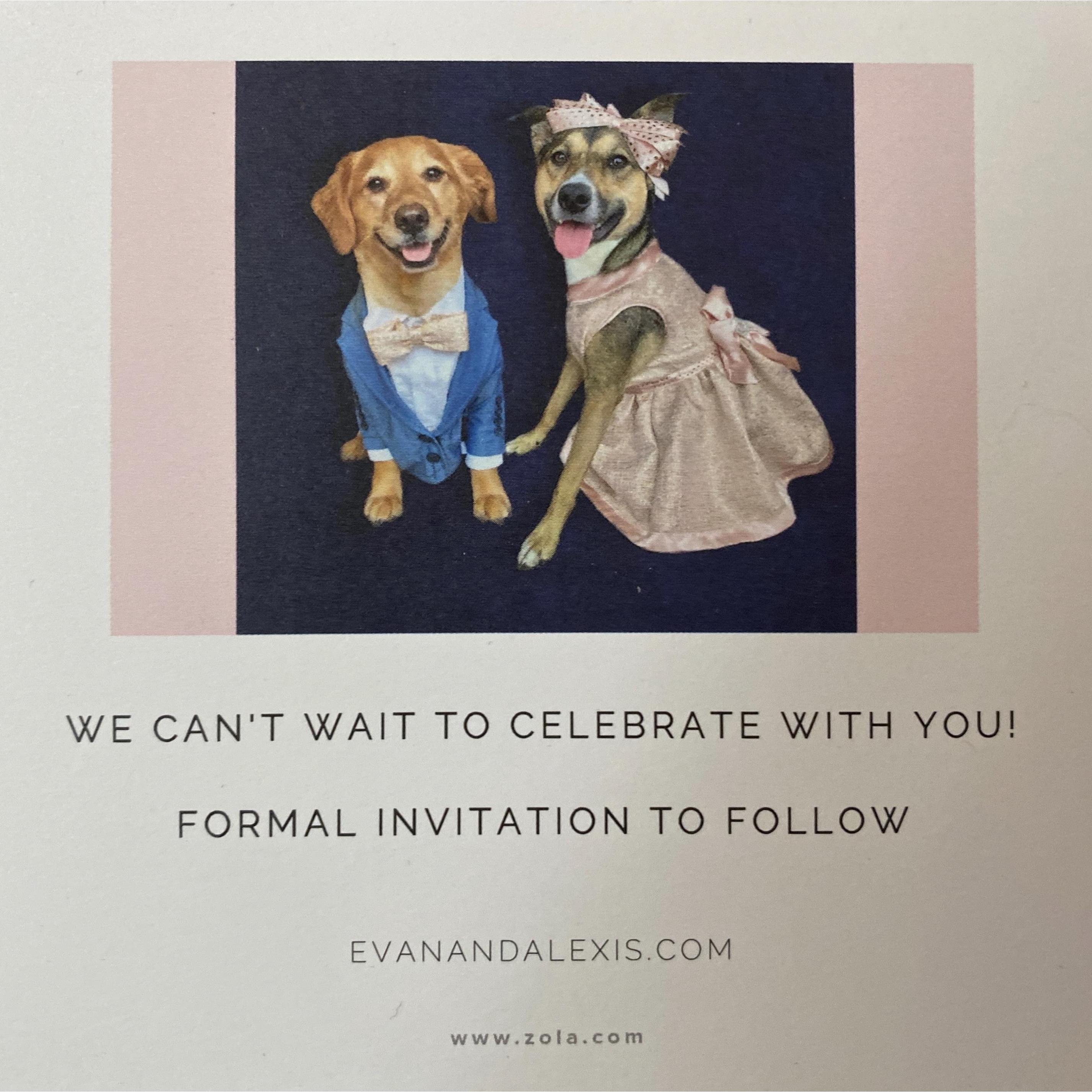 Back of the save the dates!