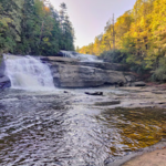 DuPont State Recreational Forest Visitor Center